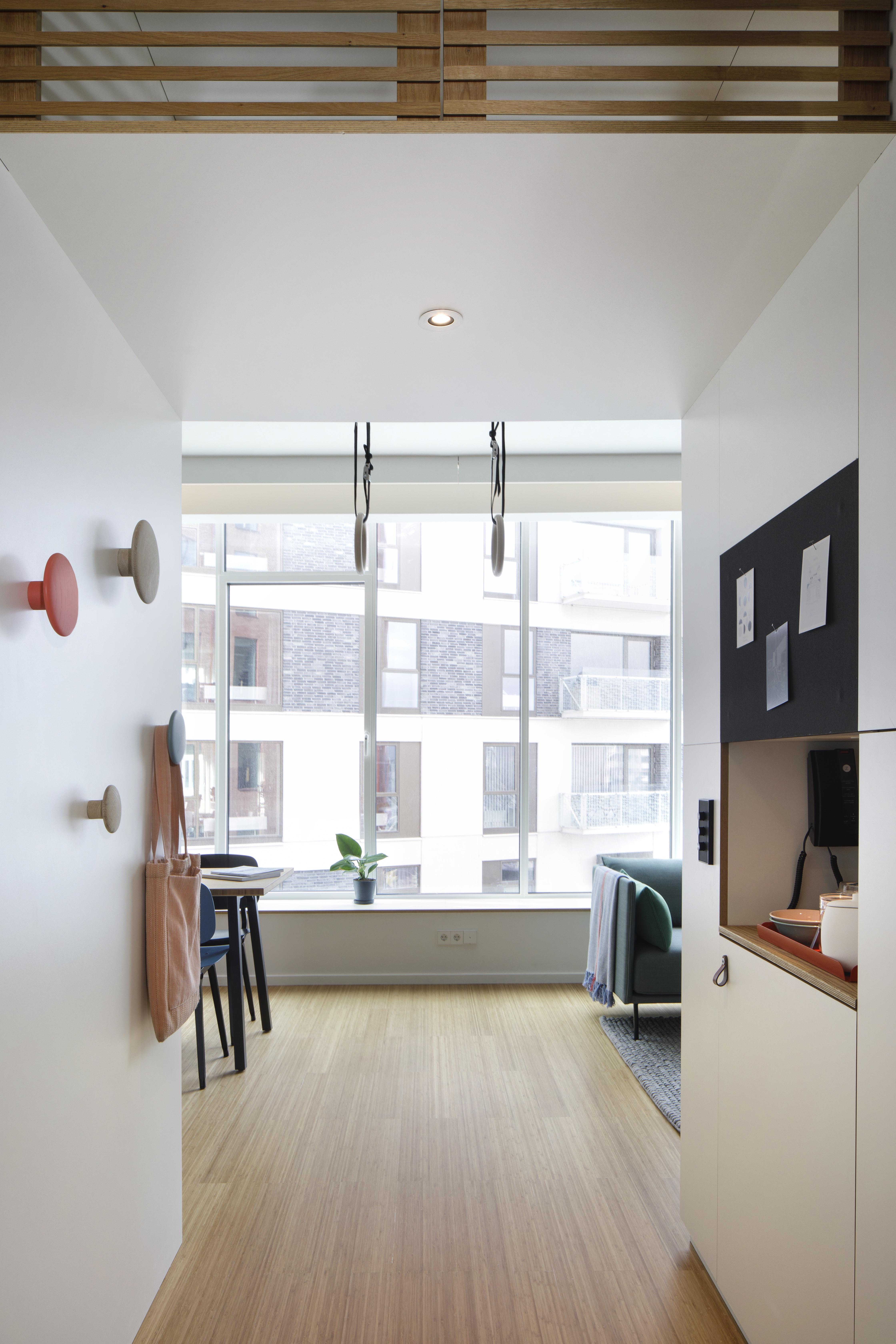 Zoku